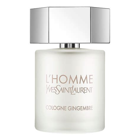 parfum yves saint laurent l homme cologne gingembre|yves saint laurent l'homme parfum.